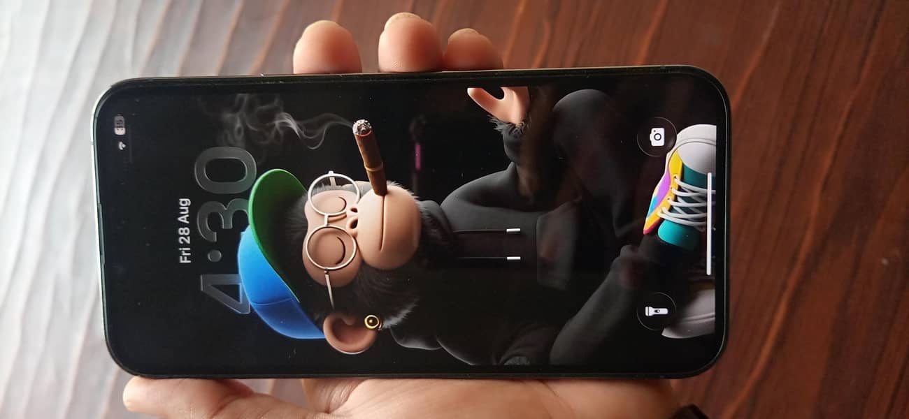 Apple iPhone 13 Pro Max 0