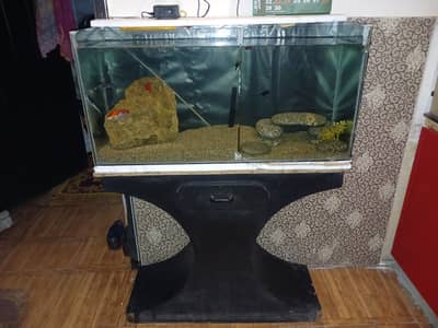 3 Feet Complete Aquarium + 4 Beautiful Live Fish | Filter + Gravel In