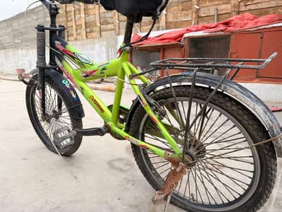 springer Bicycle 20 size