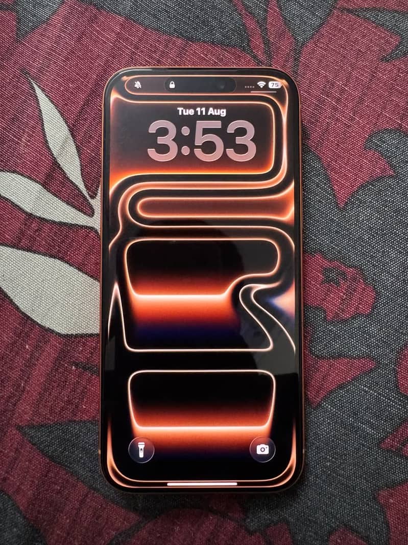 Apple iPhone 17 Pro Max 6