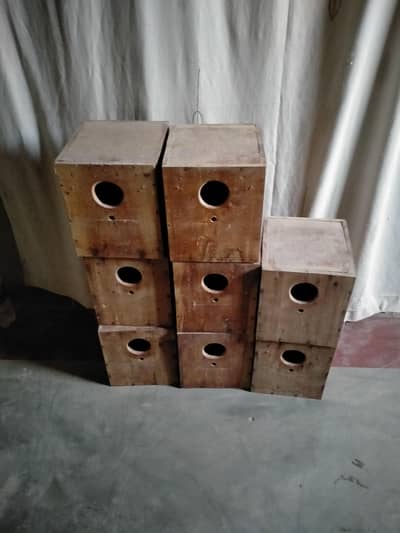 cocktail and lovebirds boxes