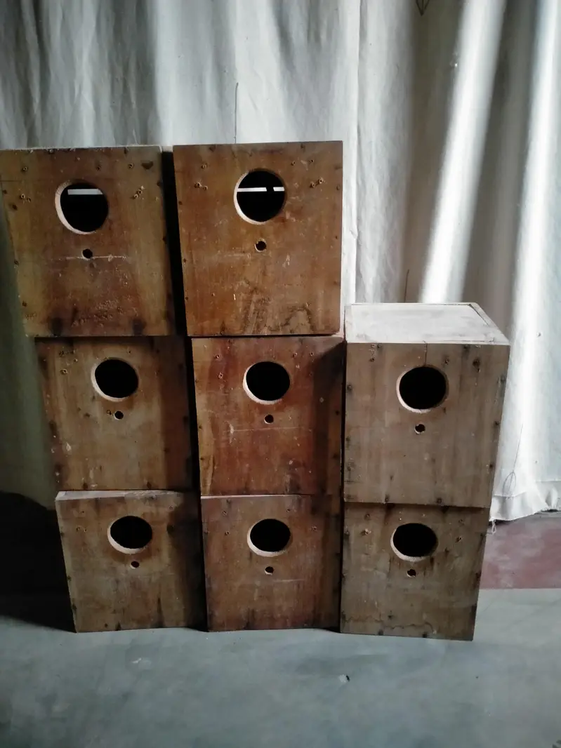 cocktail and lovebirds boxes — photo 2