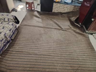 Carpet for sale, Used but excellent condition