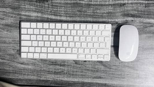 Apple Magic Mouse 2 + Magic Keyboard 2 Combo