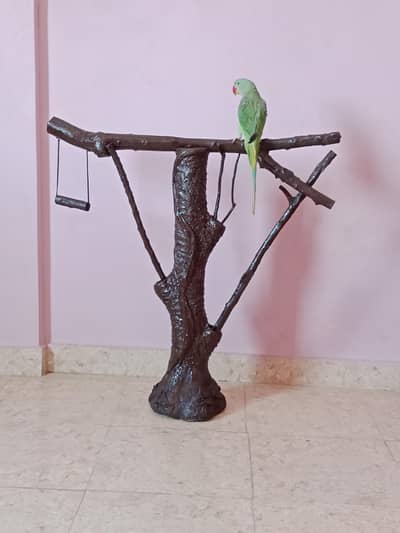 Beautiful parrot stand