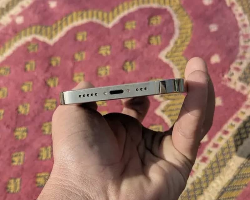 Apple iPhone 13 Pro Max 1