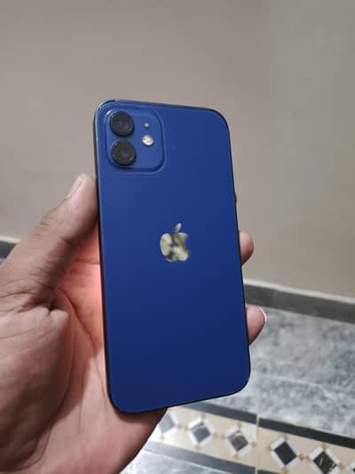 Apple iPhone 12