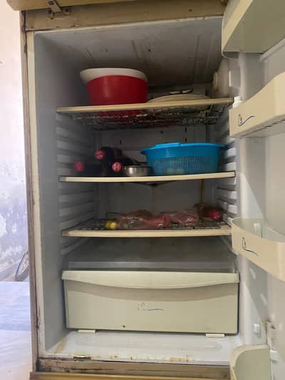 pel large size fridge