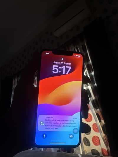 Apple iPhone XS Max PTA
