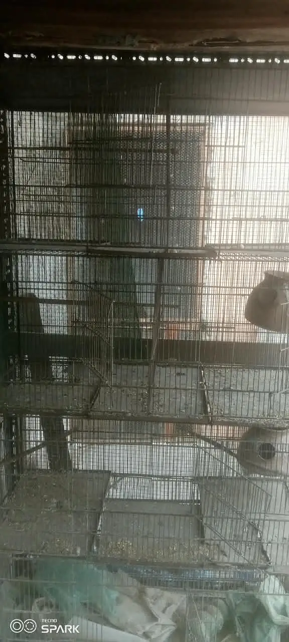 cage 4 floor 12part