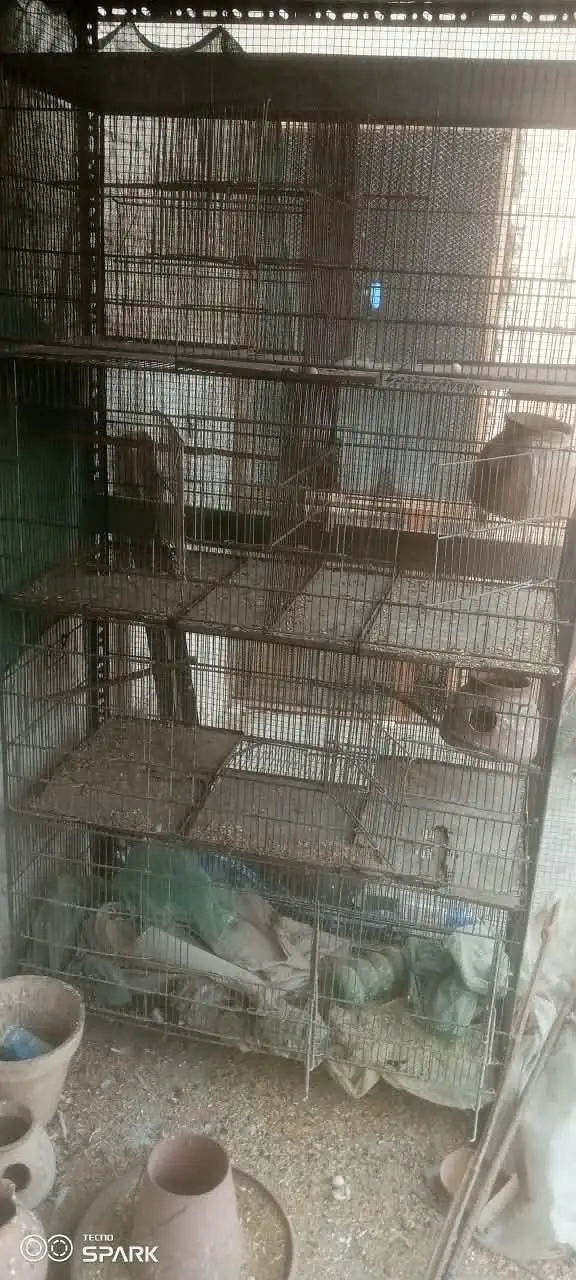 cage 4 floor 12part — photo 2