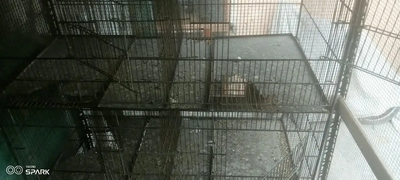 cage 4 floor 12part — photo 3