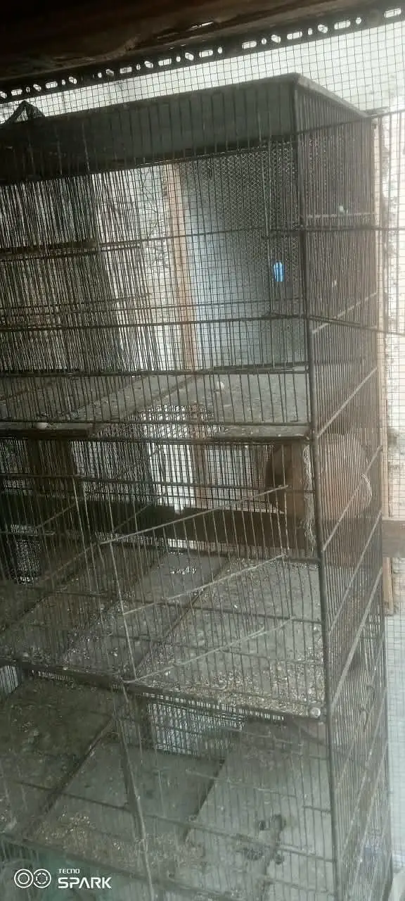 cage 4 floor 12part — photo 4