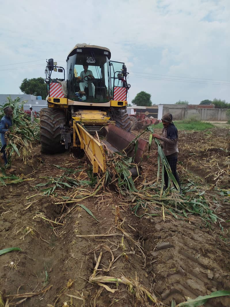Corn Silage - AAA Quality 3