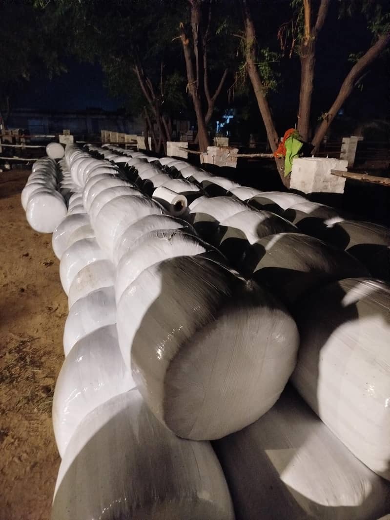 Corn Silage - AAA Quality 4