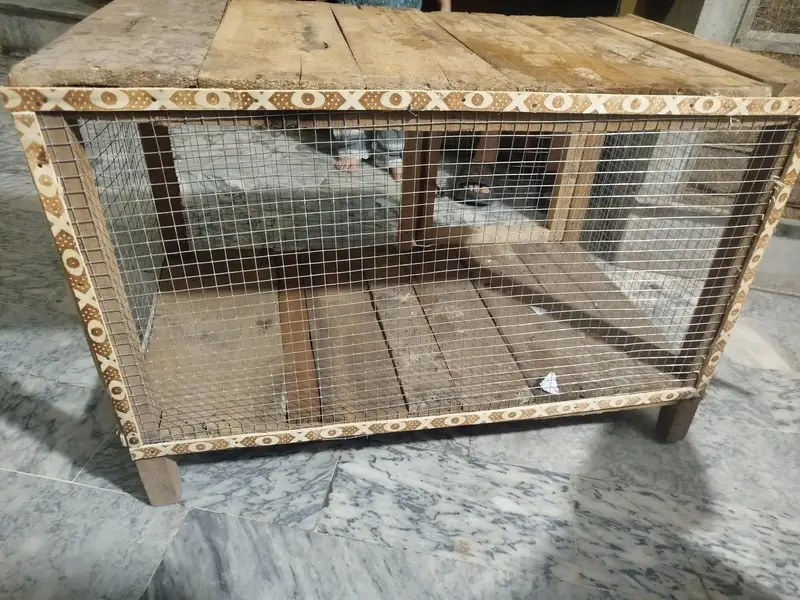 Wood Cage for Birds — photo 3