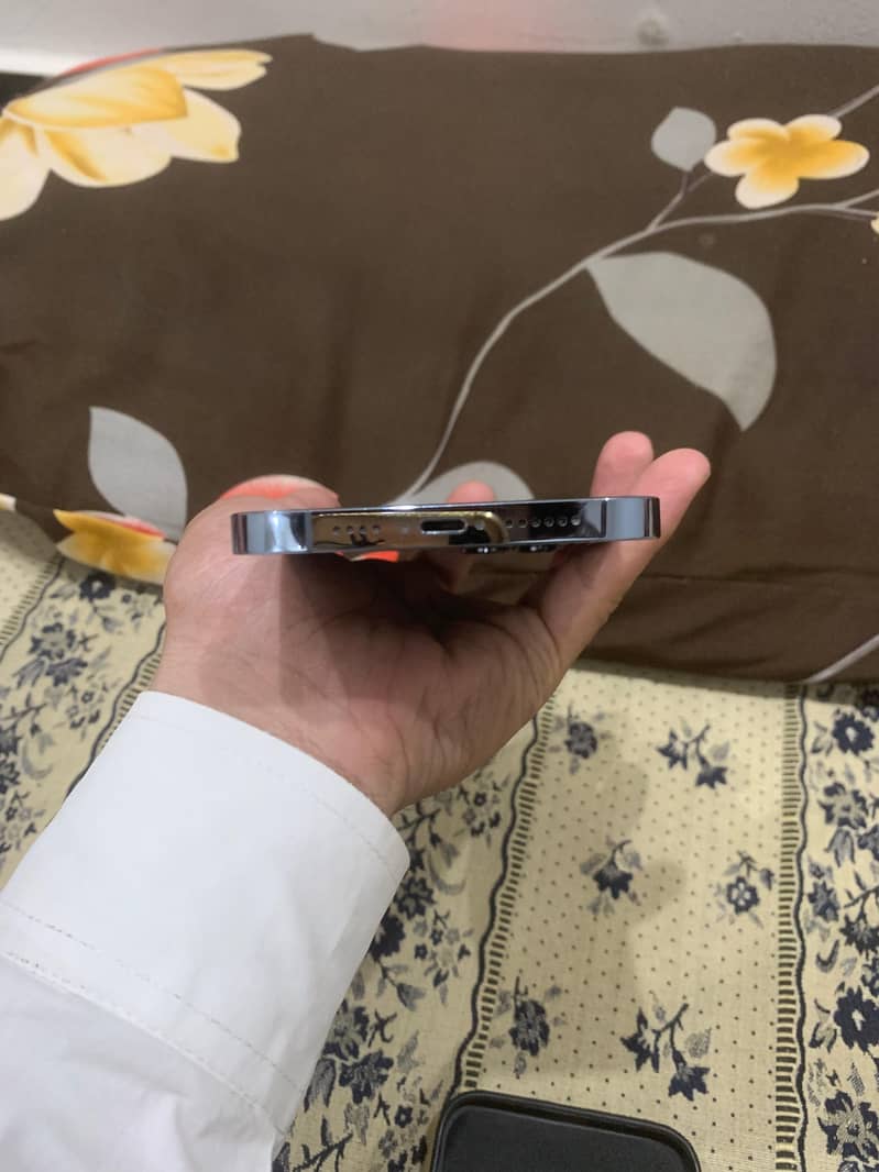 Apple iPhone 13 Pro Max 2