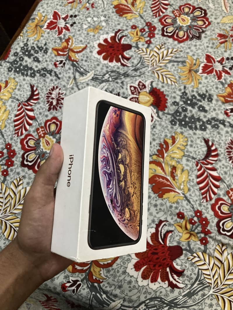 Apple iPhone XS 5