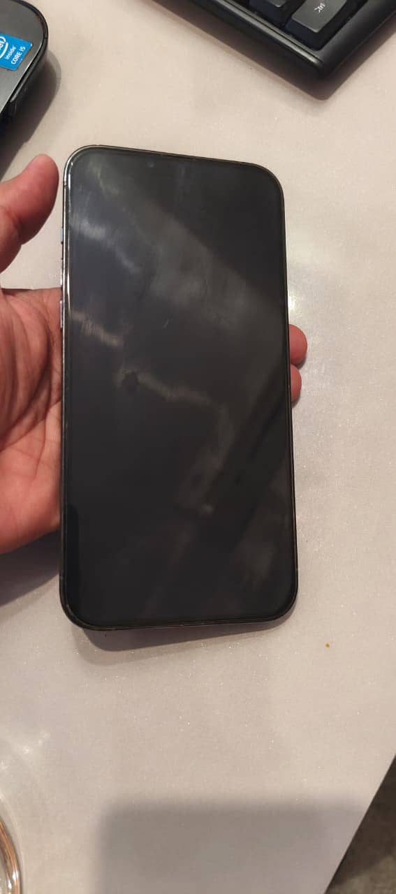 Apple iPhone 13 Pro Max 2