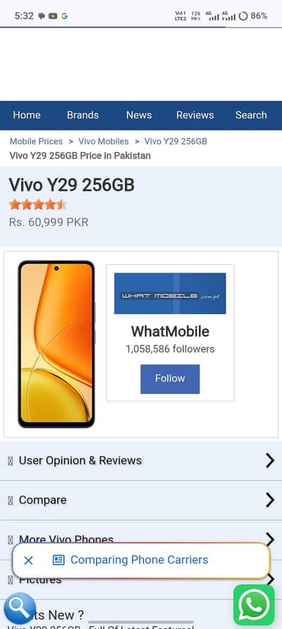 Vivo Y29