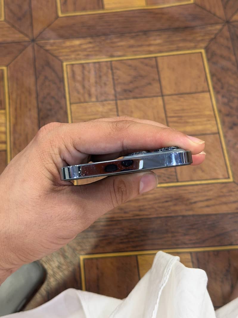 Apple iPhone 13 Pro Max 1