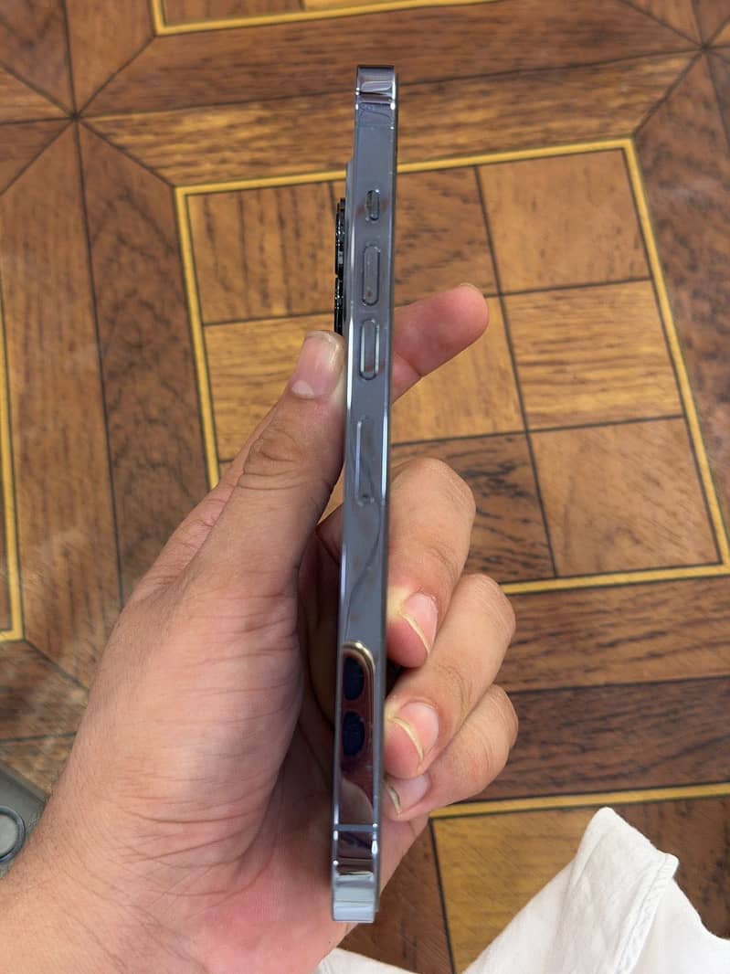 Apple iPhone 13 Pro Max 2