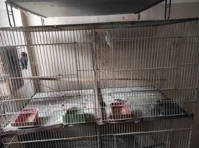 urjent sell cage 6 portion box option wala