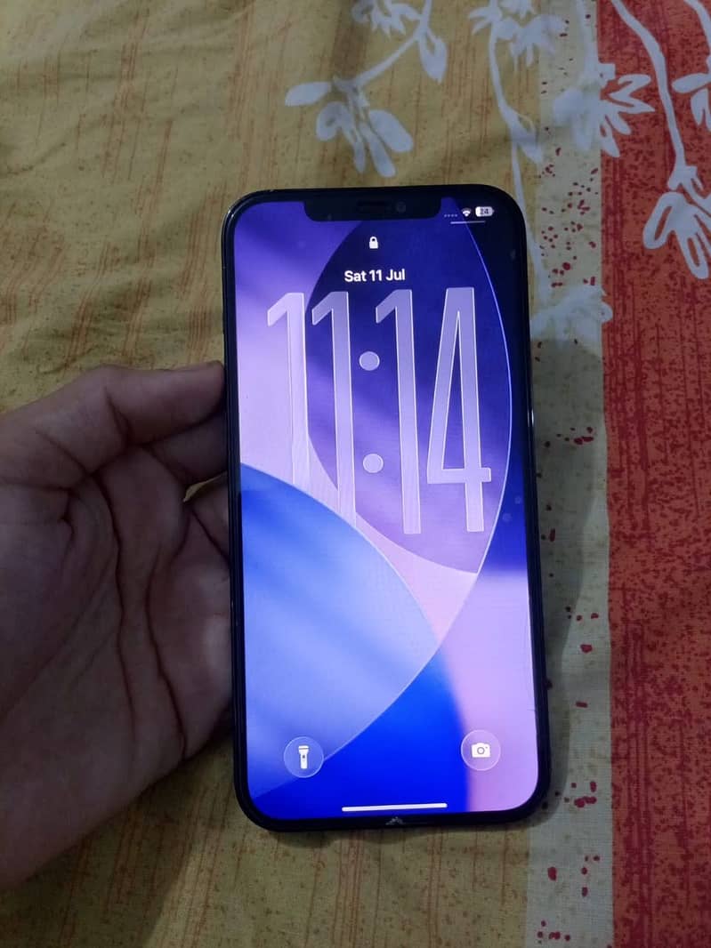 Apple iPhone 12 Pro Max 2