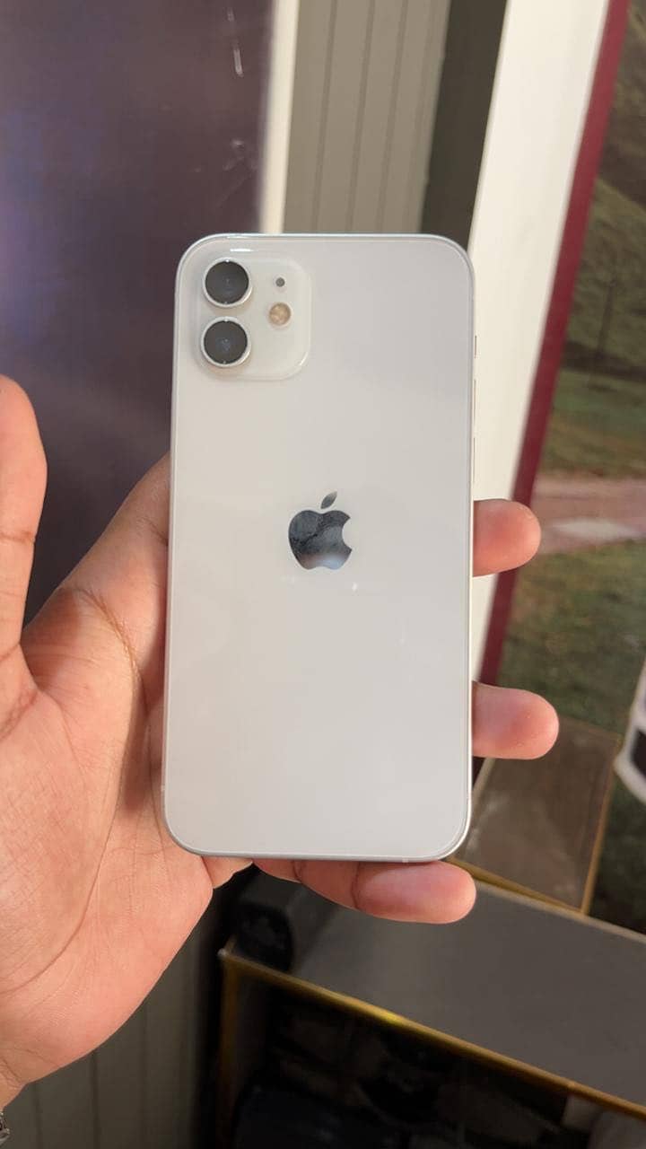 Apple iPhone 12 1