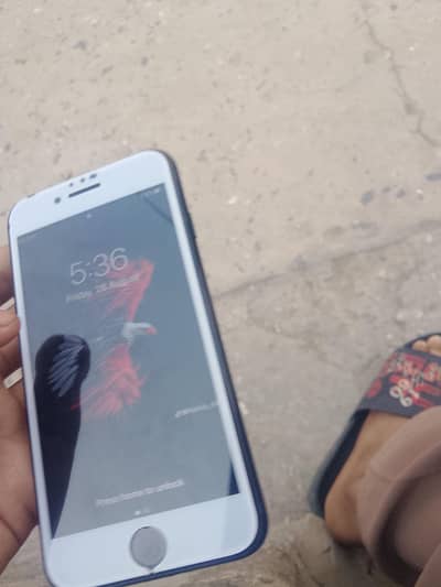 Apple iPhone 7 Plus