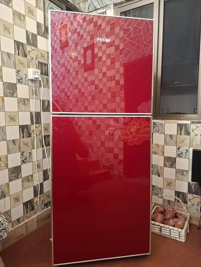 Haier fridges full size condtion 10/10 haay