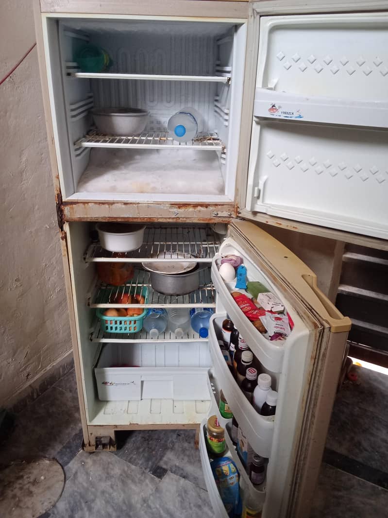 PEL Old Model Fridge 1