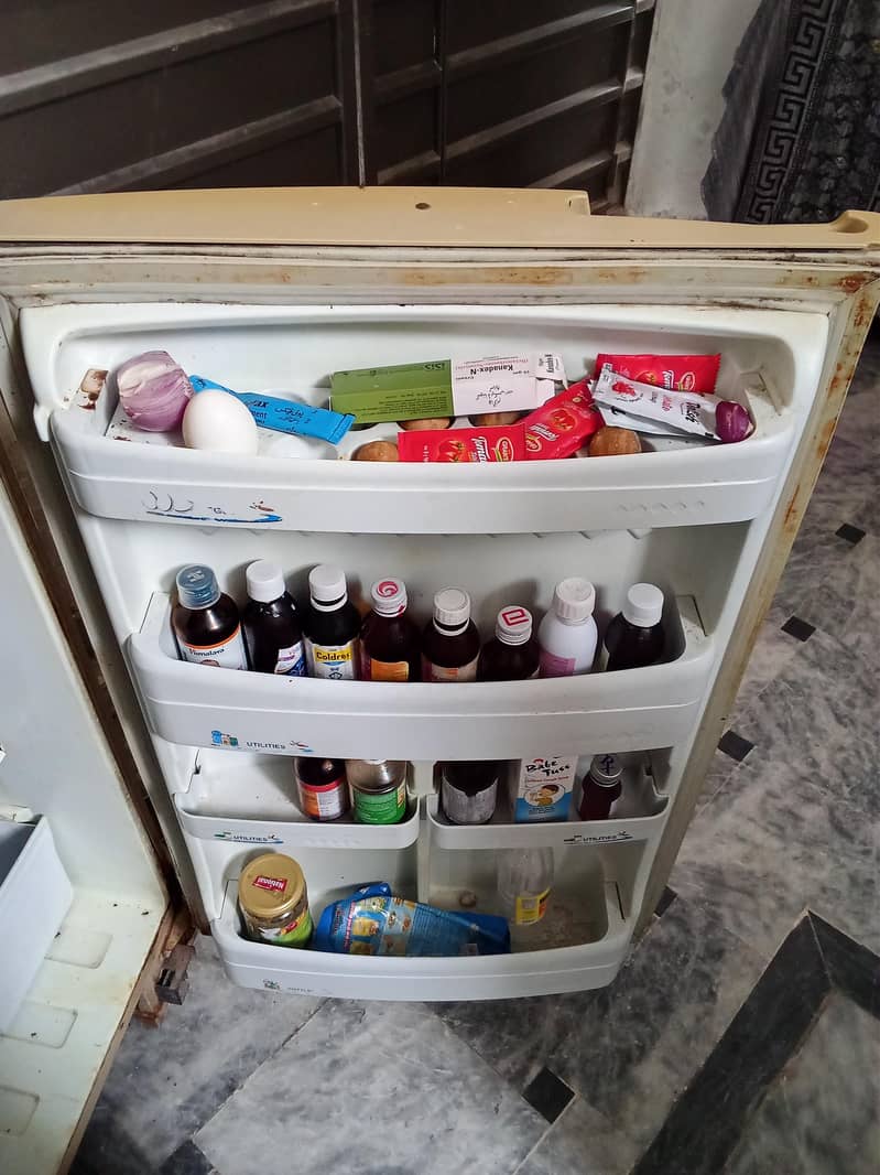 PEL Old Model Fridge 4