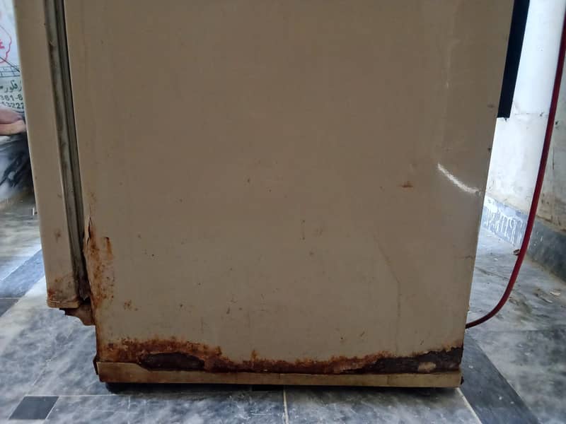 PEL Old Model Fridge 6