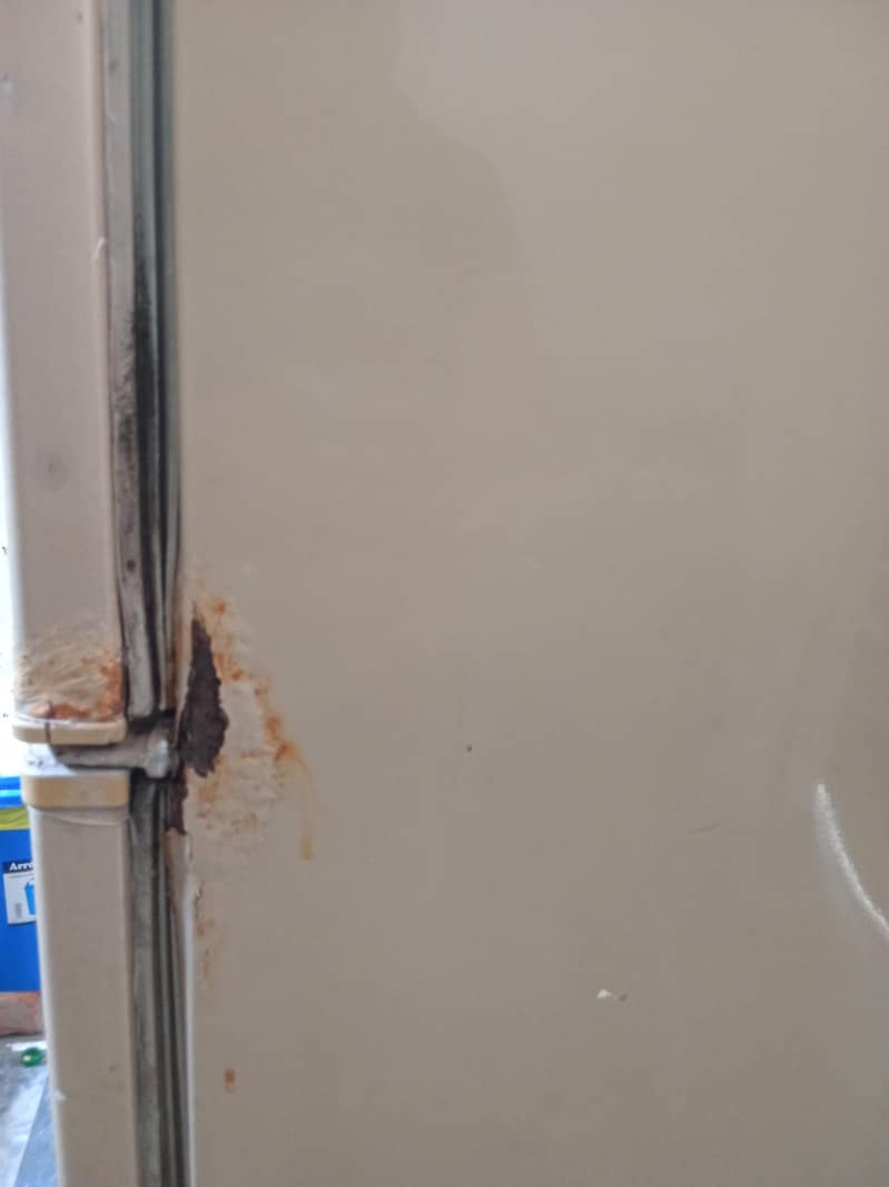 PEL Old Model Fridge 8