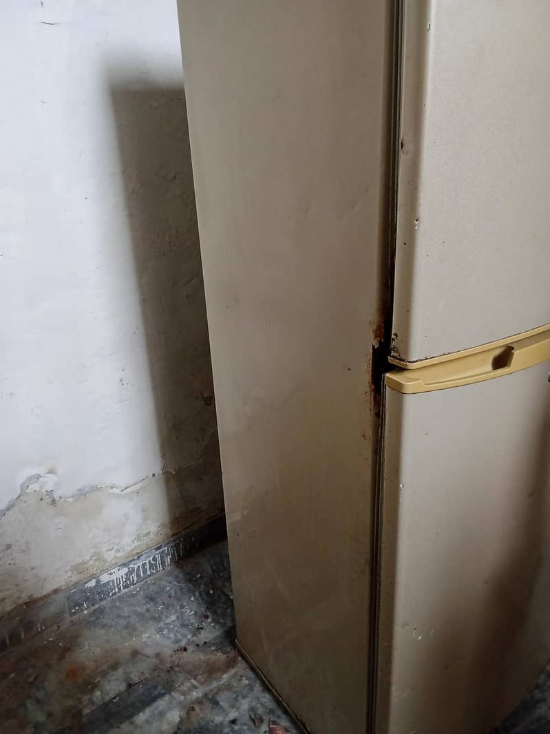 PEL Old Model Fridge 10