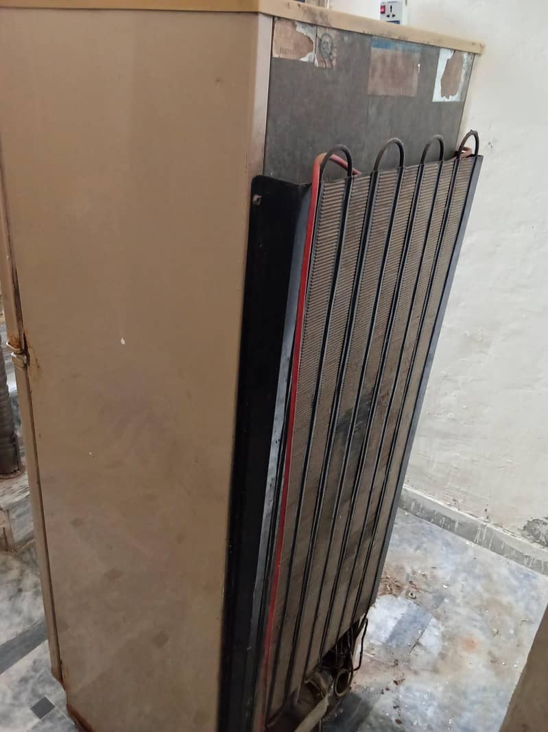 PEL Old Model Fridge 11