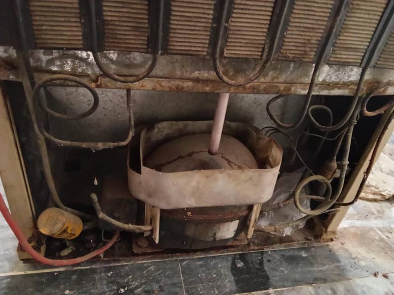 PEL Old Model Fridge 12