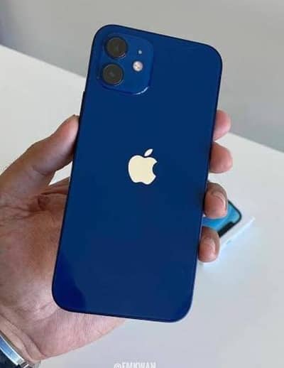 Apple iPhone 12