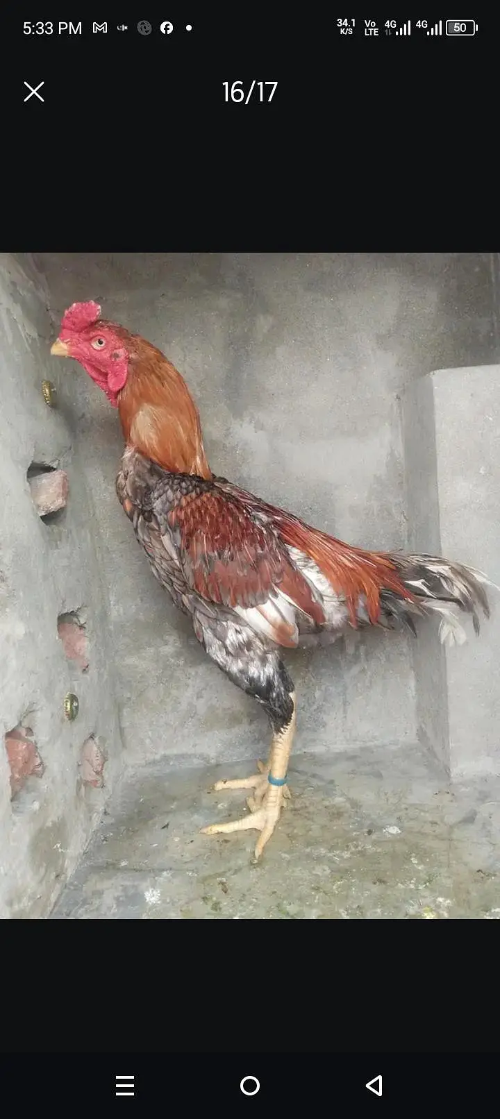imported pathay tyar for sale 0308#8719#257 — photo 11