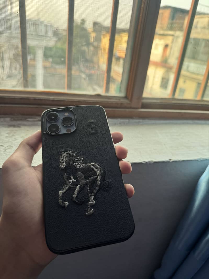 iPhone 13 Pro Max 2