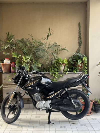 Yamaha YBR 125 2023