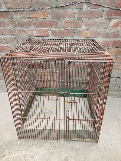 Bird Cage