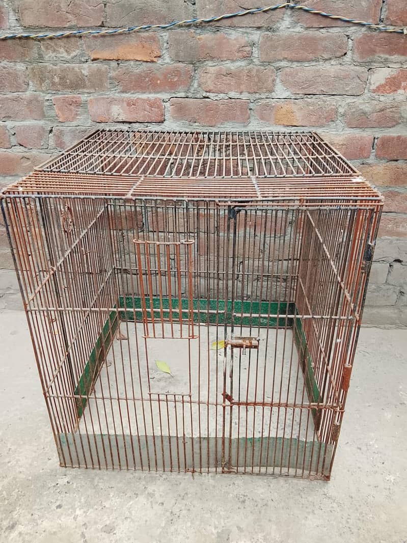 Bird Cage 0