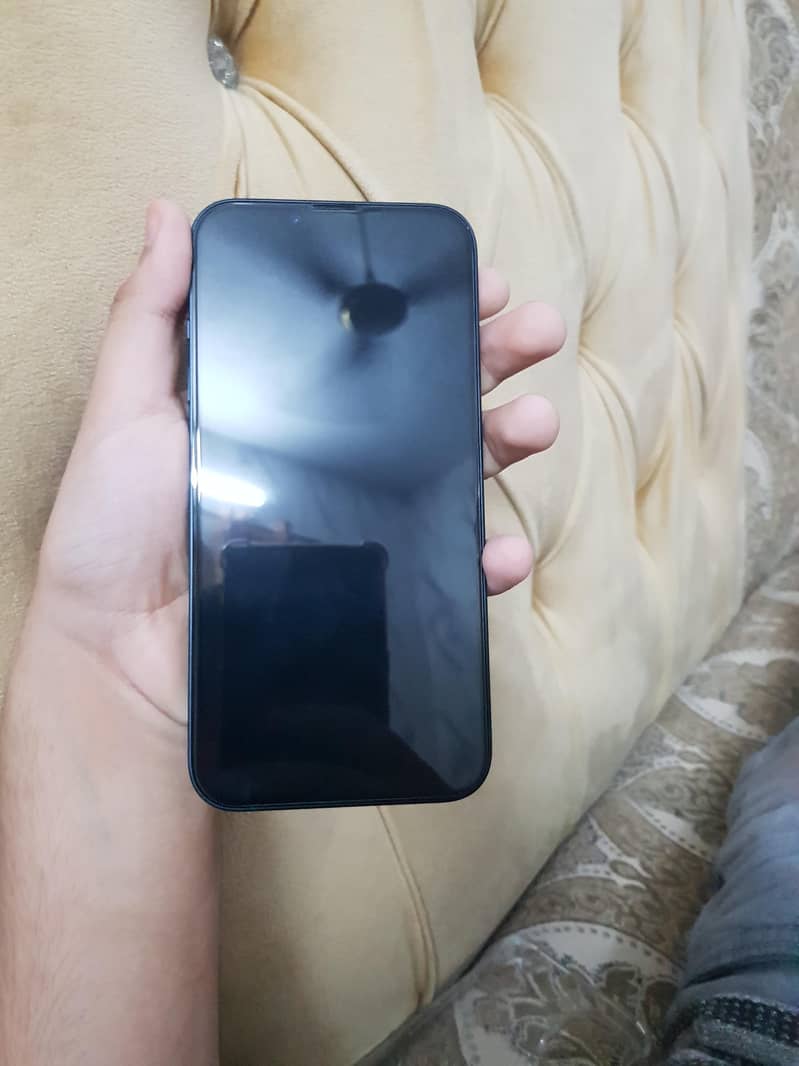 Apple iPhone 13 0