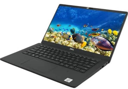 dell latitude
