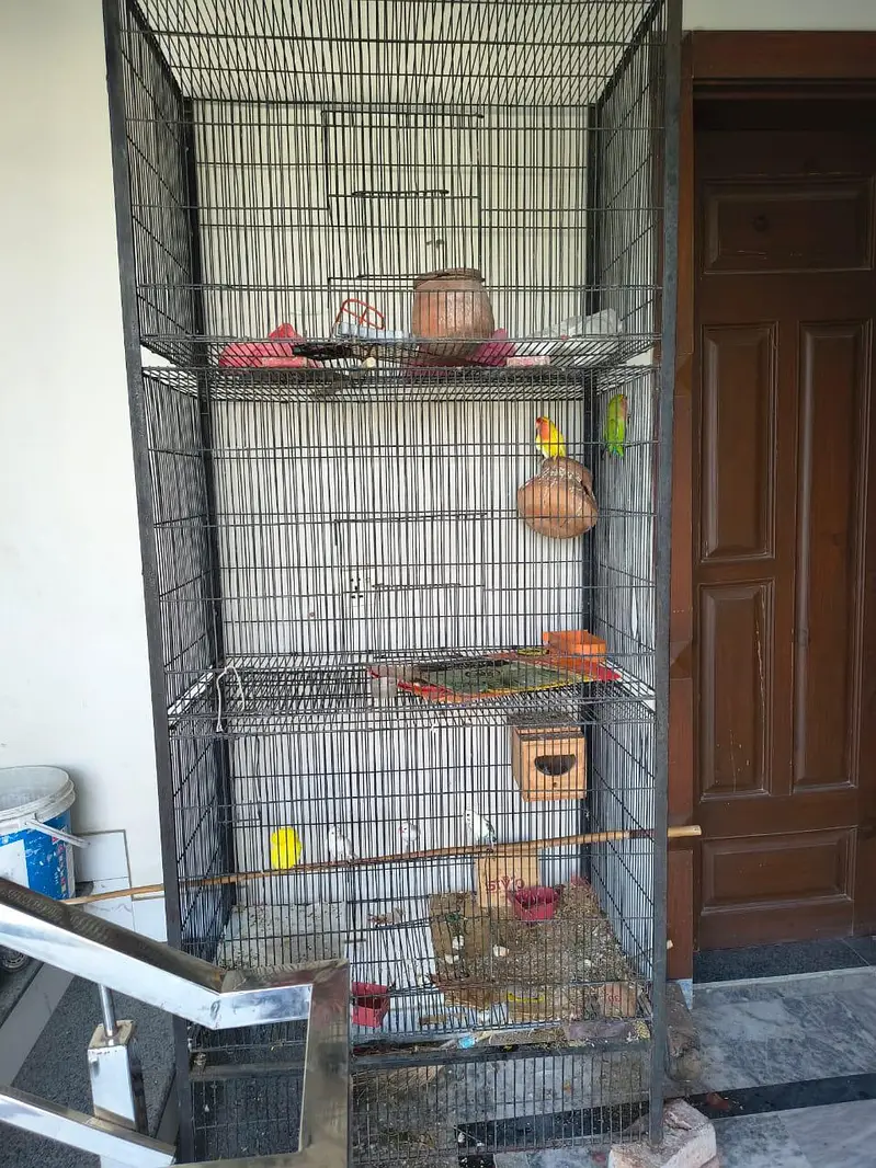 full setup with cage — photo 3