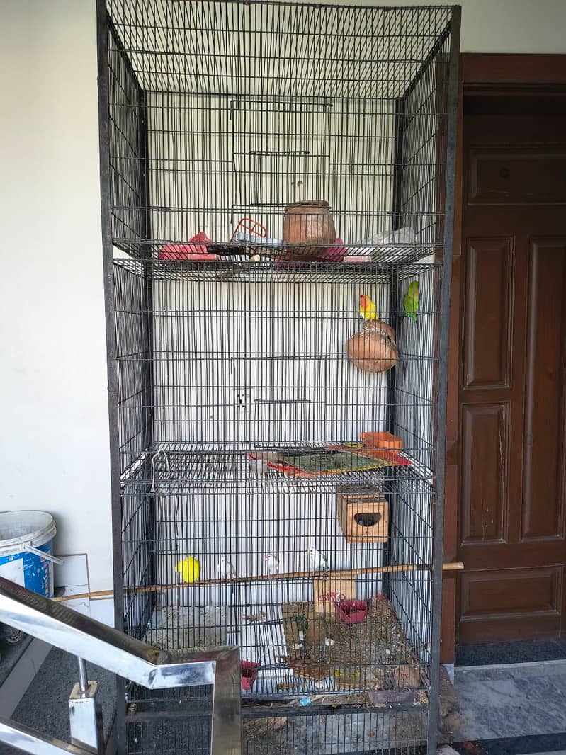 full setup with cage 4