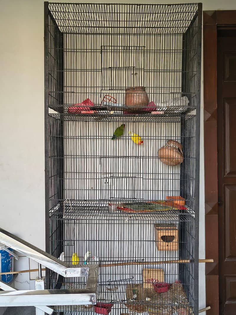 full setup with cage 11