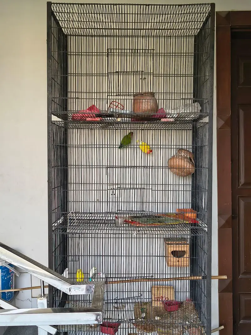 full setup with cage — photo 12
